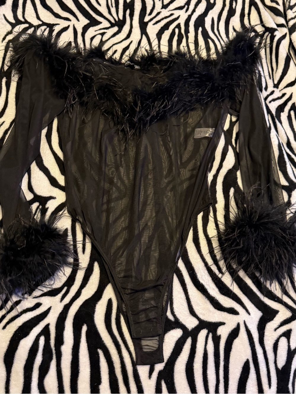 Fashion Nova Sheer Black Feather-Trim Bodysuit